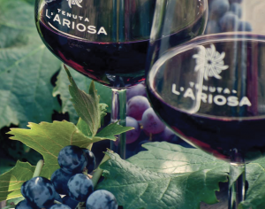 cannonau riserva wine